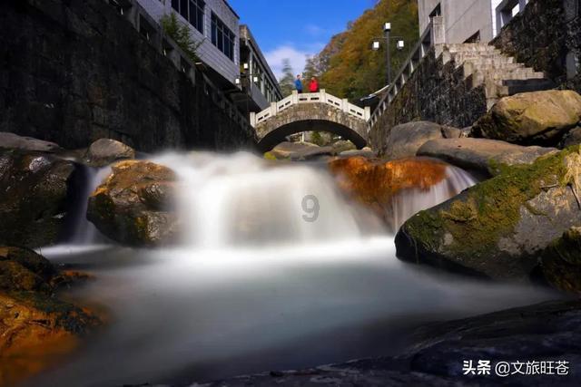 救援瓢虫宝宝